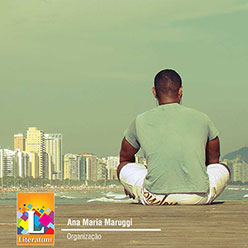capa livro