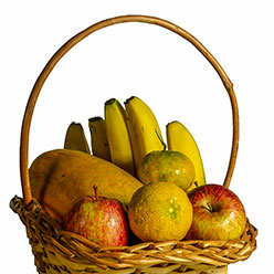 gastronomia